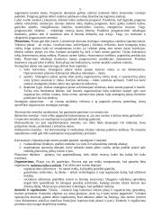 Įmonių organizavimas ir valdymas - teorija 5 puslapis