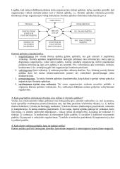 Įmonių organizavimas ir valdymas - teorija 7 puslapis