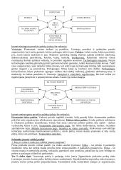 Įmonių organizavimas ir valdymas - teorija 8 puslapis