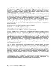 Makroekonomika - viskas apie nedarbą 2 puslapis