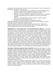 Makroekonomika - viskas apie nedarbą 11 puslapis