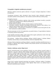 Makroekonomika - viskas apie nedarbą 8 puslapis