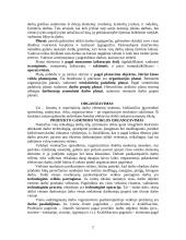 Marketingas ir planavimas 2 puslapis