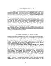 Marketingas ir planavimas 5 puslapis