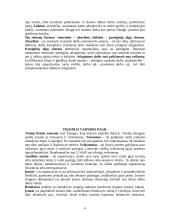 Marketingas ir planavimas 6 puslapis