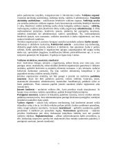 Marketingas ir planavimas 7 puslapis