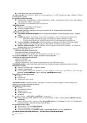 Marketingas tyrimas 13 puslapis