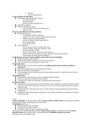 Marketingas tyrimas 4 puslapis