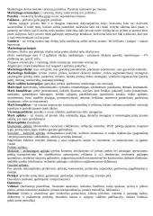 Marketingo orientacijos