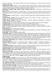 Marketingo orientacijos 3 puslapis