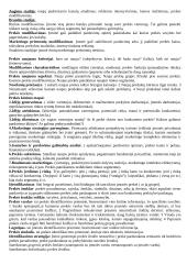 Marketingo orientacijos 4 puslapis