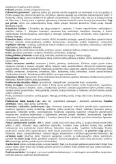 Marketingo orientacijos 5 puslapis