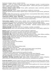 Marketingo orientacijos 6 puslapis