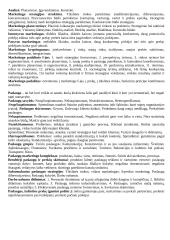 Marketingo orientacijos 8 puslapis