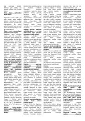 Muitai. Monetarinė sistema 2 puslapis