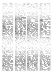 Muitai. Monetarinė sistema 4 puslapis