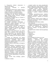 Strategija ir strateginis valdymas 2 puslapis