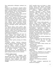 Strategija ir strateginis valdymas 11 puslapis