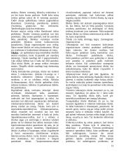 Strategija ir strateginis valdymas 13 puslapis