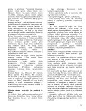 Strategija ir strateginis valdymas 15 puslapis