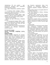 Strategija ir strateginis valdymas 17 puslapis