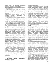 Strategija ir strateginis valdymas 3 puslapis