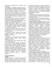 Strategija ir strateginis valdymas 4 puslapis