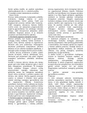 Strategija ir strateginis valdymas 5 puslapis