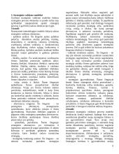 Strategija ir strateginis valdymas 6 puslapis