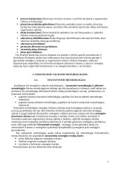 Strateginio valdymo esmė ir principai 3 puslapis