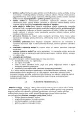 Strateginio valdymo esmė ir principai 4 puslapis