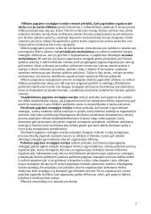 Strateginio valdymo esmė ir principai 5 puslapis