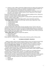 Strateginio valdymo esmė ir principai 7 puslapis