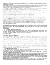 Šeima bei šeimos pedagogika 4 puslapis