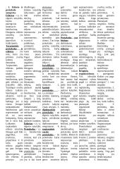 Tarptautinis verslo protokolas