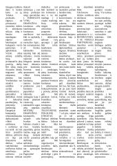 Tarptautinis verslo protokolas 11 puslapis