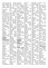 Tarptautinis verslo protokolas 3 puslapis