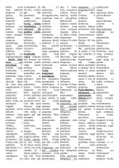 Tarptautinis verslo protokolas 4 puslapis