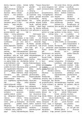 Tarptautinis verslo protokolas 7 puslapis