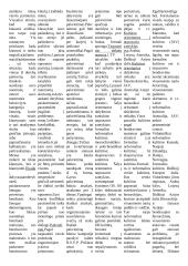 Tarptautinis verslo protokolas 8 puslapis