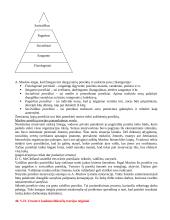 Vadovo darbas. Vadovavimo teorijos 12 puslapis