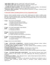 Vadovo darbas. Vadovavimo teorijos 3 puslapis