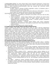 Vadovo darbas. Vadovavimo teorijos 5 puslapis