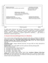 Vadovo darbas. Vadovavimo teorijos 8 puslapis