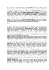 Valstybės finansų sistema, jos sudėtis 6 puslapis