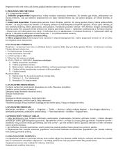 Verslo vadyba ir samprata 3 puslapis