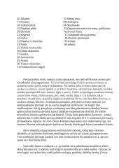 Auskarų ir tatuiruočių poveikis žmogaus organizmui 11 puslapis