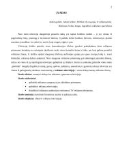 Efektyvi reklama televizijoje 2 puslapis