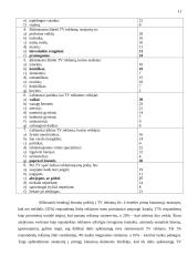 Efektyvi reklama televizijoje 11 puslapis