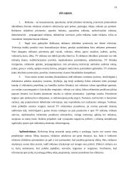 Efektyvi reklama televizijoje 14 puslapis